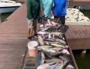 Lake Conroe Fishing Adventures Customers Stand Next to Fillet Table Full of Catfish on Lake Conroe