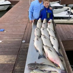 Lake Conroe Fishing Adventures Customers Stand Next to Fillet Table Full of Hybrid Striped Bass on Lake Conroe