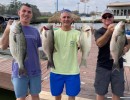 Lake Conroe Fishing Adventures Customers Stand Next to Fillet Table Holding Hybrid Striped Bass on Lake Conroe