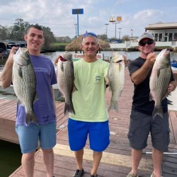 Lake Conroe Fishing Adventures Customers Stand Next to Fillet Table Holding Hybrid Striped Bass on Lake Conroe