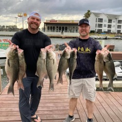 Lake Conroe Fishing Adventures Customers Stand Next to Fillet Table Holding Hybrid Striped Bass on Lake Conroe