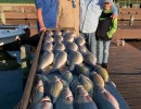 Lake Conroe Fishing Adventures Customers Stand Next to Fillet Table Full of Hybrid Striped Bass on Lake Conroe