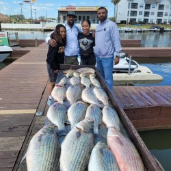 Lake Conroe Fishing Adventures Customers Stand Next to Fillet Table Full of Hybrid Striped Bass on Lake Conroe