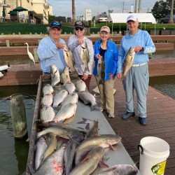 Lake Conroe Fishing Adventures Customers Stand Next to Fillet Table Holding Hybrid Striped Bass on Lake Conroe