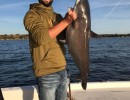 Collin Edwards Licensed Professional Fishing Guide on Lake Conroe Hold Trophy Blue Catfish