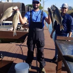 Collin Edwards Licensed Professional Fishing Guide on Lake Conroe Holds Hybrid Striped Bass