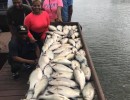 Lake Conroe Fishing Adventures Customers Stand Next to Fillet Table Full of Hybrid Striped Bass