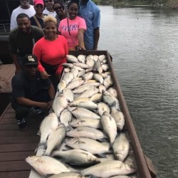 Lake Conroe Fishing Adventures Customers Stand Next to Fillet Table Full of Hybrid Striped Bass
