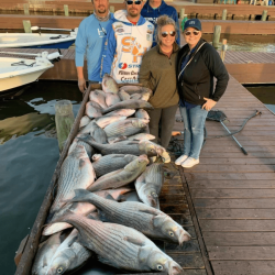 Lake Conroe Fishing Adventures Customers Stand Next to Fillet Table Full of Hybrid Striped Bass on Lake Conroe