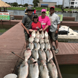 Lake Conroe Fishing Adventures Customers Stand Next to Fillet Table Holding Hybrid Striped Bass on Lake Conroe
