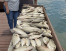 Lake Conroe Fishing Adventures Customers Stand Next to Fillet Table Holding Hybrid Striped Bass on Lake Conroe