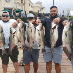 Lake Conroe Fishing Adventures Customers Stand Next to Fillet Table Holding Hybrid Striped Bass on Lake Conroe