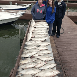 Lake Conroe Fishing Adventures Customers Stand Next to Fillet Table Holding Hybrid Striped Bass on Lake Conroe