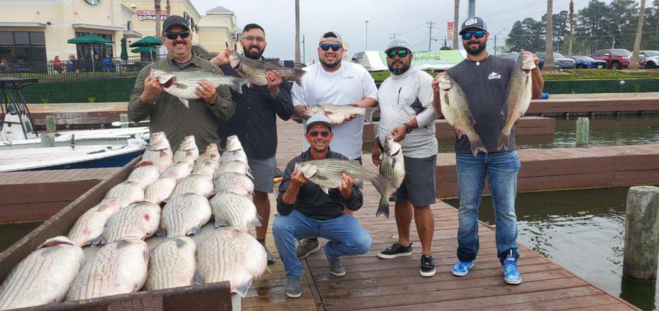 Collin Edwards Licensed Professional Fishing Guide Holds Hybrid Striped Bass with Customers after Fishing on Lake Conroe