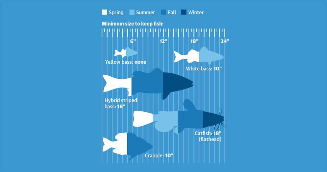 lake conroe fishing adventures fishing seasons